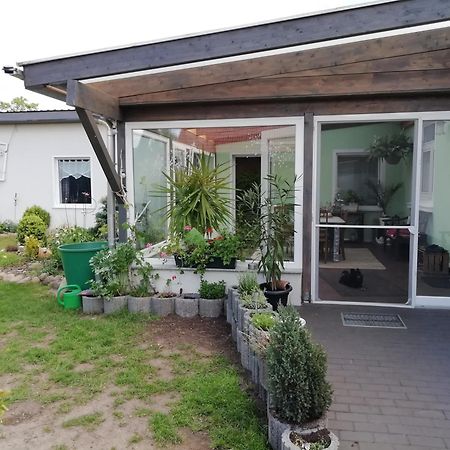 Ferienwohnung Zur Alten Schule Прицвальк Экстерьер фото